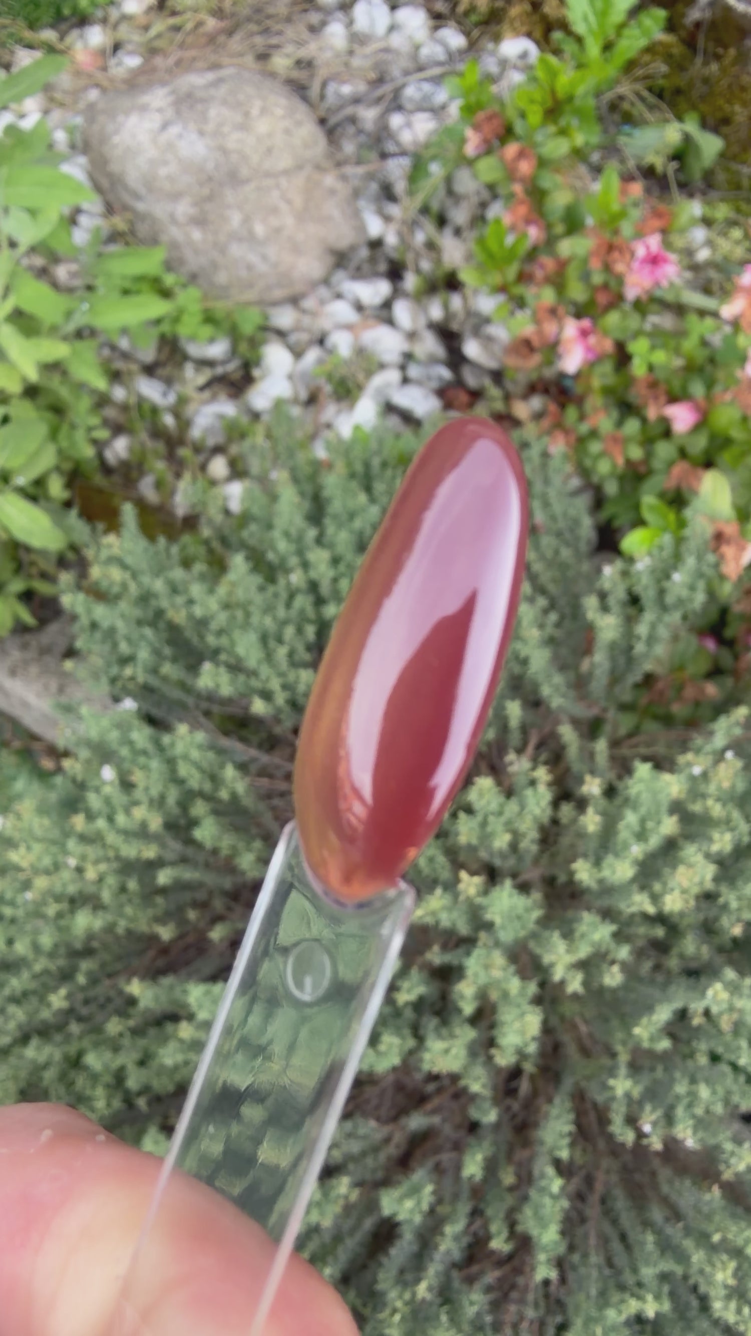 Smalto Semipermanente Cat Eyes G256